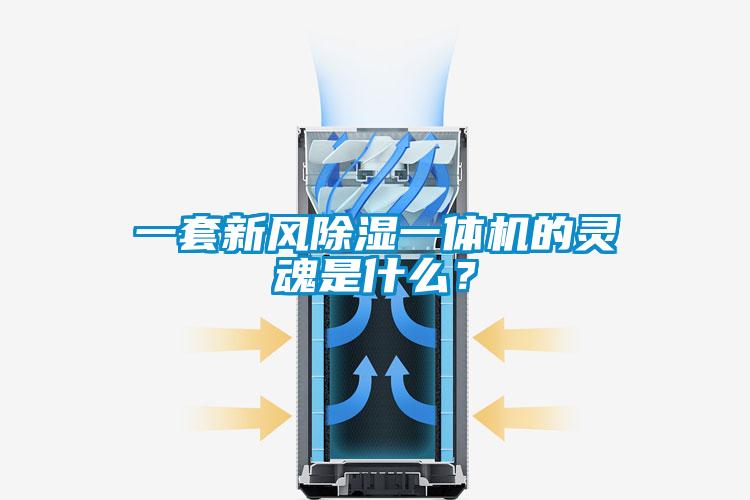一套新風(fēng)除濕一體機(jī)的靈魂是什么？
