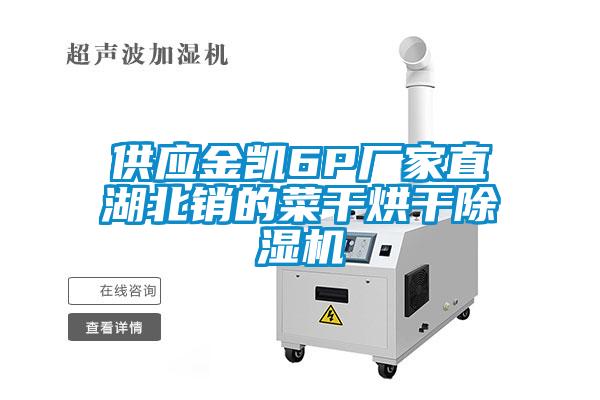 供應(yīng)金凱6P廠家直湖北銷(xiāo)的菜干烘干除濕機(jī)