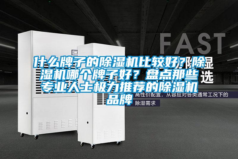 什么牌子的除濕機(jī)比較好？除濕機(jī)哪個(gè)牌子好？盤點(diǎn)那些專業(yè)人士極力推薦的除濕機(jī)品牌