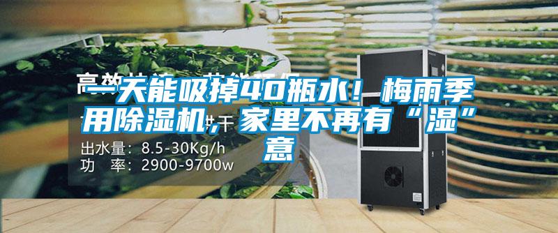 一天能吸掉40瓶水！梅雨季用除濕機，家里不再有“濕”意