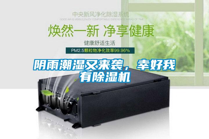 陰雨潮濕又來襲，幸好我有除濕機(jī)
