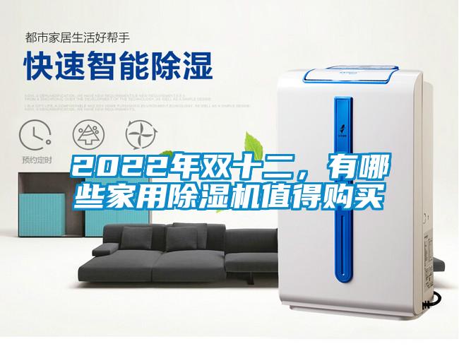 2022年雙十二，有哪些家用除濕機值得購買