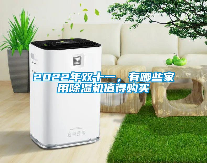 2022年雙十一，有哪些家用除濕機值得購買