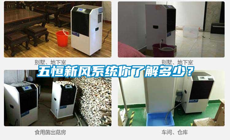 五恒新風系統你了解多少？