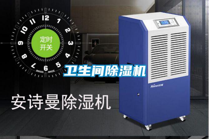 衛(wèi)生間除濕機