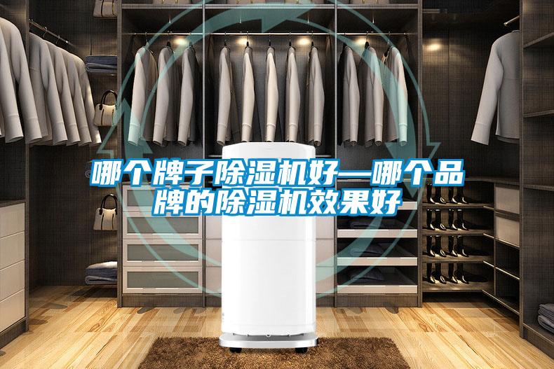 哪個(gè)牌子除濕機(jī)好—哪個(gè)品牌的除濕機(jī)效果好