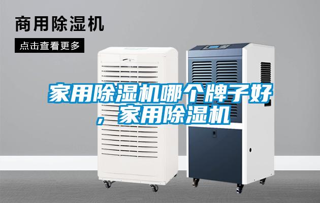 家用除濕機哪個牌子好，家用除濕機