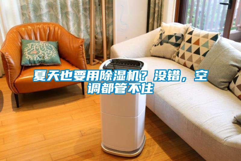 夏天也要用除濕機？沒錯，空調都管不住