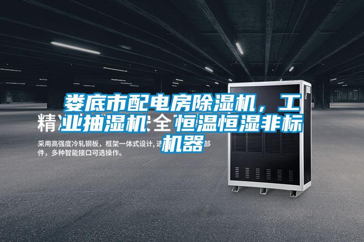 婁底市配電房除濕機(jī)，工業(yè)抽濕機(jī)  恒溫恒濕非標(biāo)機(jī)器