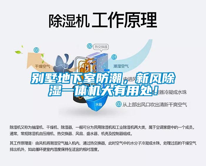 別墅地下室防潮，新風除濕一體機大有用處！
