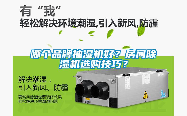 哪個品牌抽濕機好？房間除濕機選購技巧？