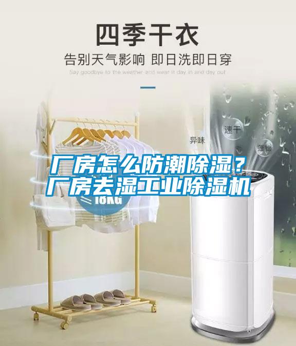 廠房怎么防潮除濕？廠房去濕工業除濕機