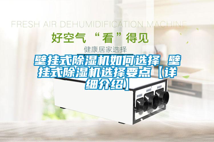 壁掛式除濕機(jī)如何選擇 壁掛式除濕機(jī)選擇要點【詳細(xì)介紹】