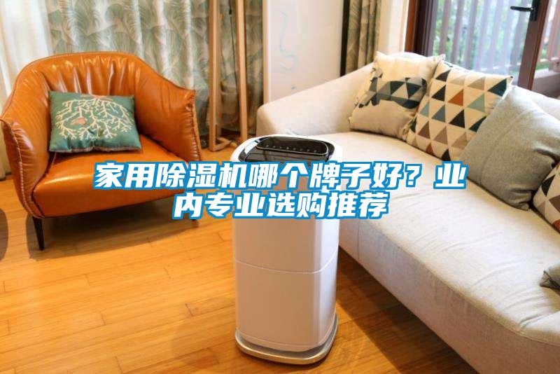 家用除濕機哪個牌子好？業內專業選購推薦