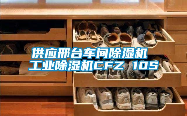供應邢臺車間除濕機 工業(yè)除濕機CFZ 10S