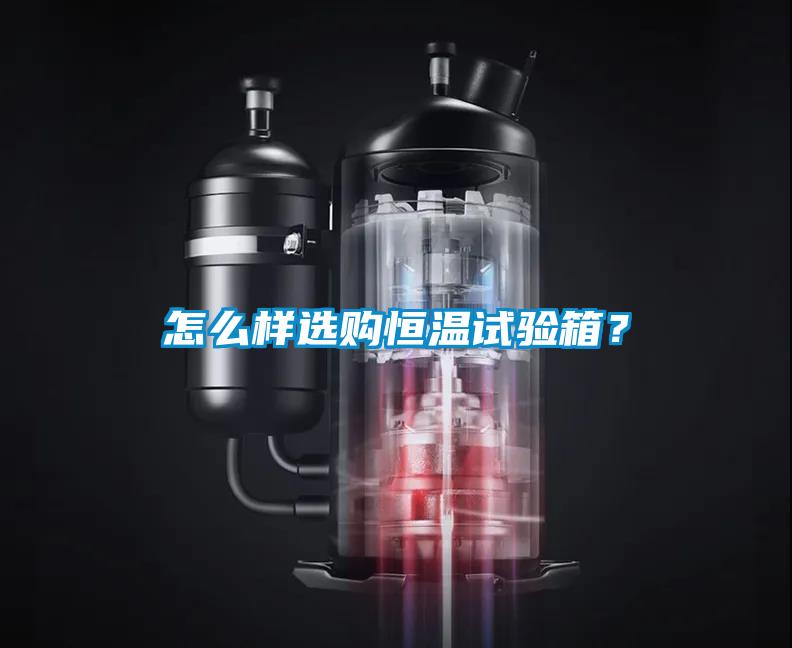 怎么樣選購恒溫試驗箱？