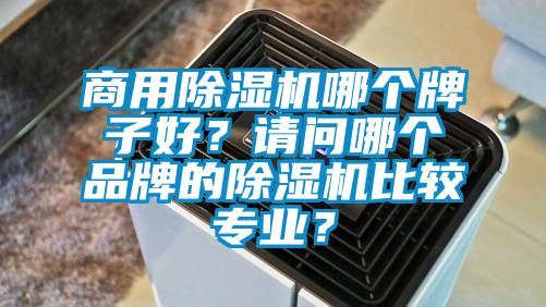 商用除濕機(jī)哪個牌子好？請問哪個品牌的除濕機(jī)比較專業(yè)？
