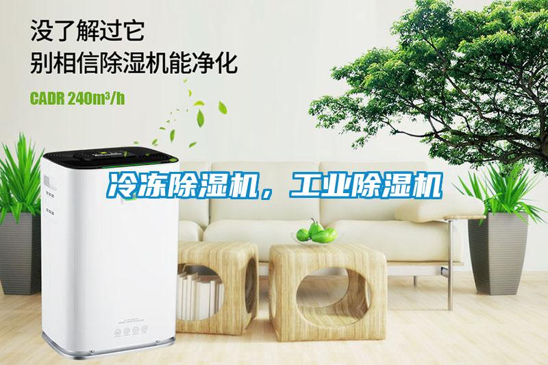 冷凍除濕機，工業除濕機