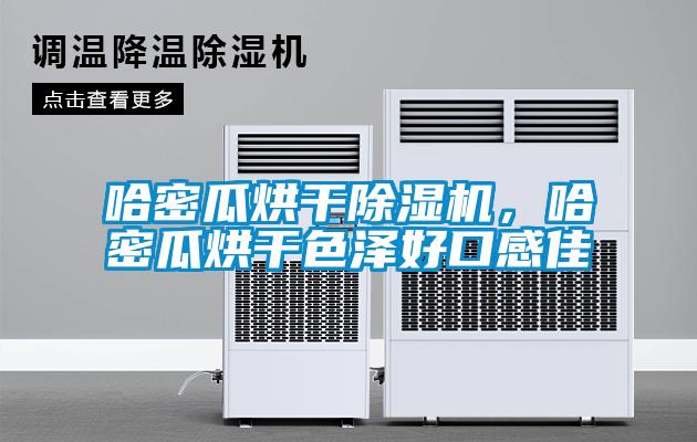 哈密瓜烘干除濕機，哈密瓜烘干色澤好口感佳