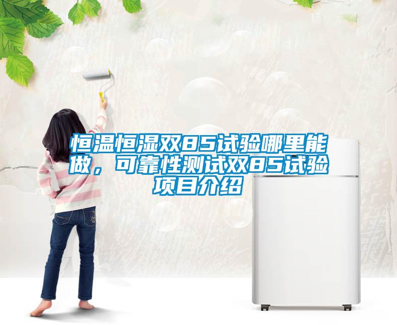 恒溫恒濕雙85試驗哪里能做，可靠性測試雙85試驗項目介紹