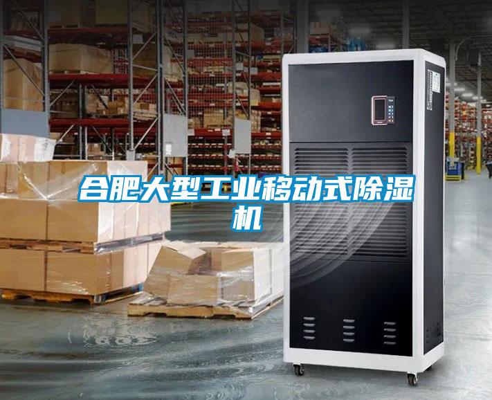 合肥大型工業(yè)移動式除濕機(jī)