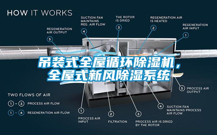 吊裝式全屋循環(huán)除濕機(jī)，全屋式新風(fēng)除濕系統(tǒng)