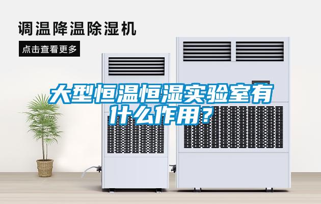 大型恒溫恒濕實驗室有什么作用？