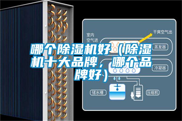 哪個除濕機好（除濕機十大品牌，哪個品牌好）