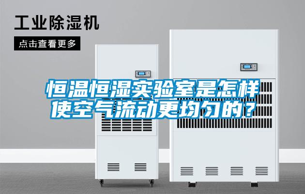 恒溫恒濕實(shí)驗(yàn)室是怎樣使空氣流動(dòng)更均勻的？