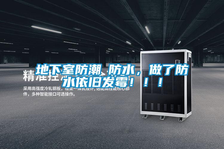 地下室防潮≠防水，做了防水依舊發霉?。?！