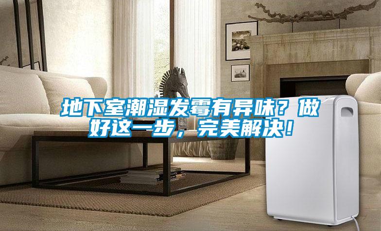 地下室潮濕發(fā)霉有異味？做好這一步，完美解決！