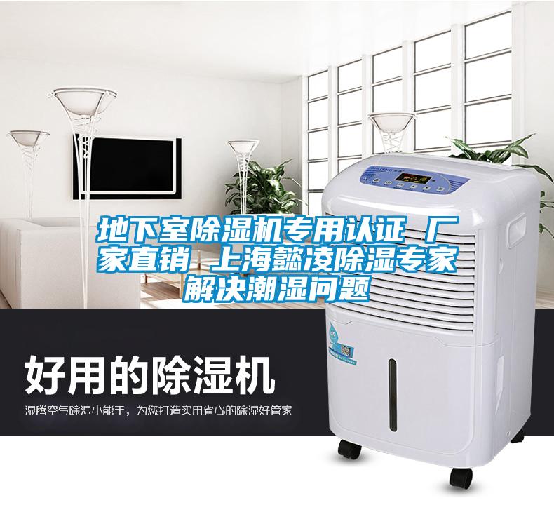 地下室除濕機(jī)專用認(rèn)證 廠家直銷 上海懿凌除濕專家解決潮濕問題