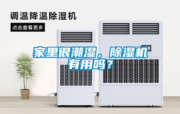 家里很潮濕，除濕機有用嗎？