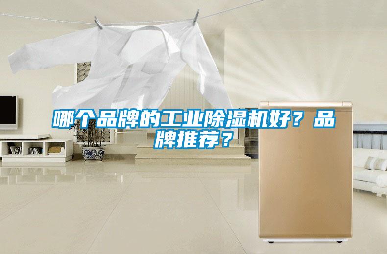 哪個品牌的工業除濕機好？品牌推薦？