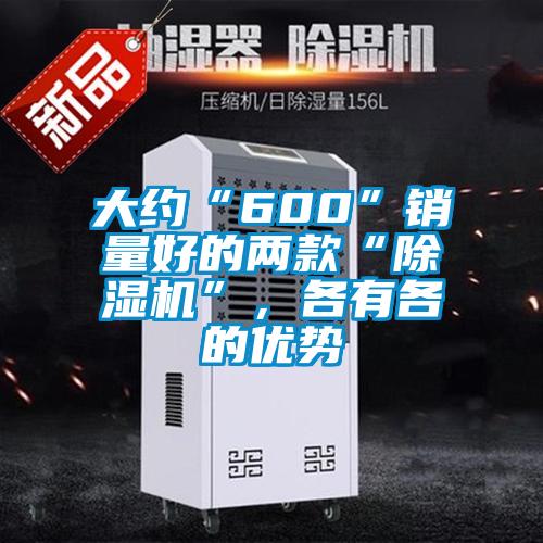 大約“600”銷量好的兩款“除濕機(jī)”，各有各的優(yōu)勢(shì)