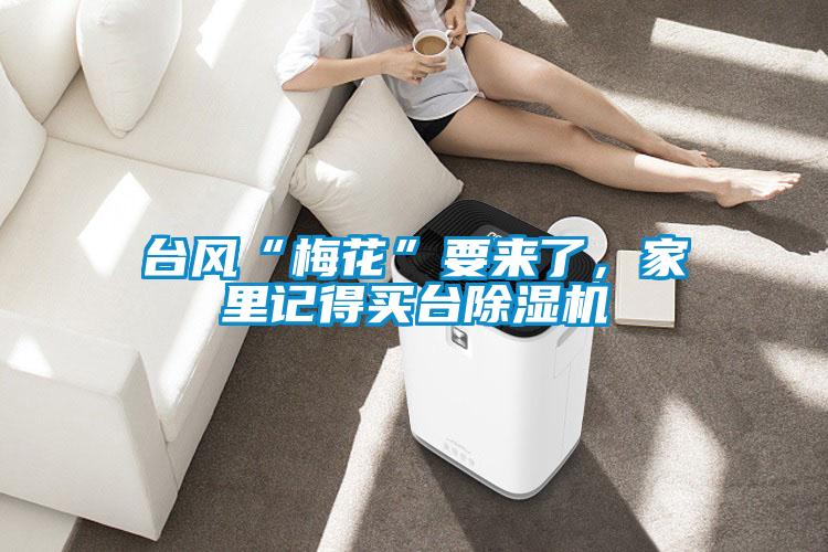 臺風“梅花”要來了，家里記得買臺除濕機