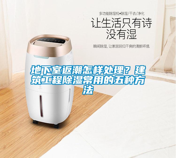 地下室返潮怎樣處理？建筑工程除濕常用的五種方法