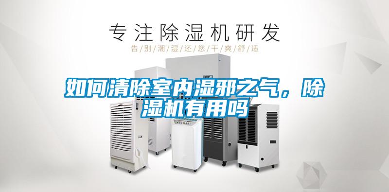 如何清除室內濕邪之氣，除濕機有用嗎