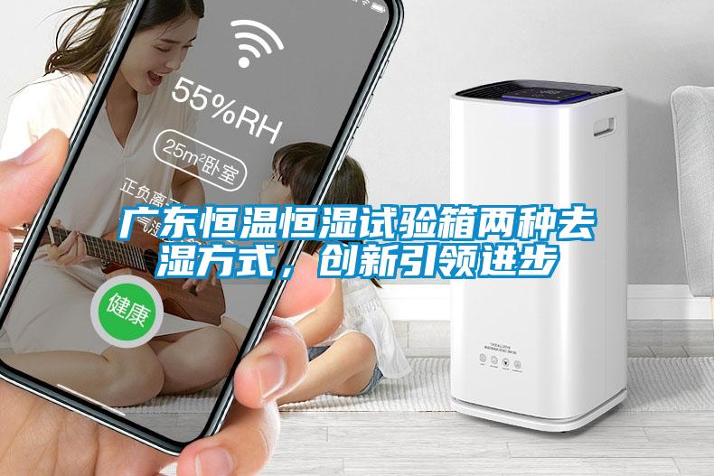 廣東恒溫恒濕試驗箱兩種去濕方式，創新引領進步