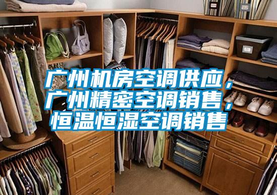 廣州機房空調(diào)供應(yīng)，廣州精密空調(diào)銷售，恒溫恒濕空調(diào)銷售