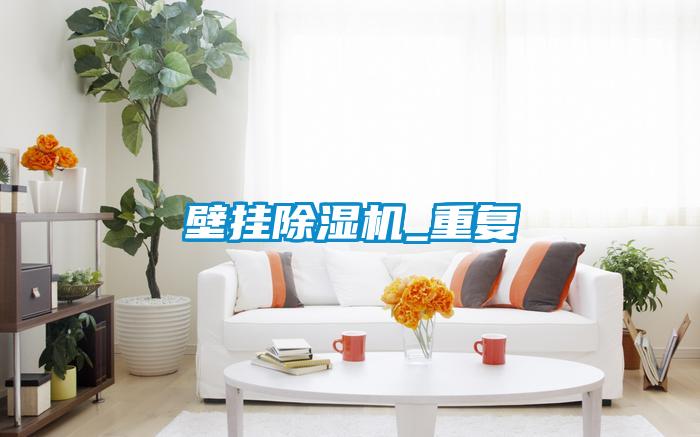 壁掛除濕機_重復(fù)