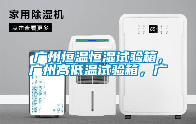 廣州恒溫恒濕試驗箱，廣州高低溫試驗箱，廣