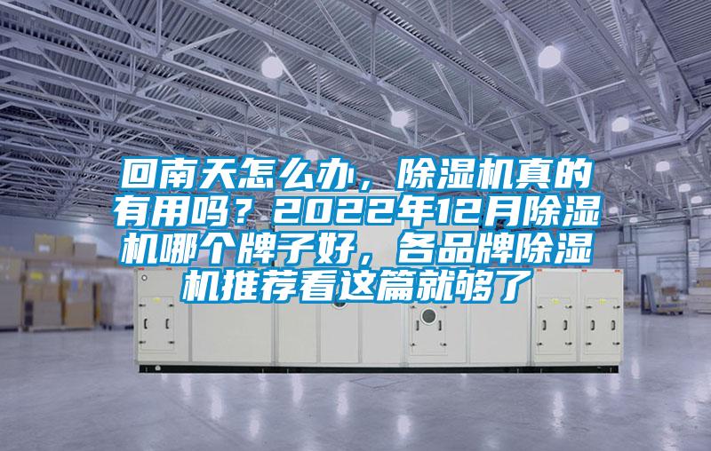 回南天怎么辦，除濕機真的有用嗎？2022年12月除濕機哪個牌子好，各品牌除濕機推薦看這篇就夠了