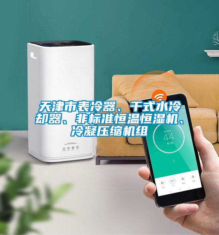 天津市表冷器、干式水冷卻器、非標(biāo)準(zhǔn)恒溫恒濕機(jī)、冷凝壓縮機(jī)組