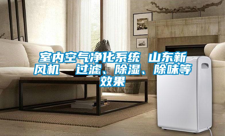 室內(nèi)空氣凈化系統(tǒng) 山東新風(fēng)機  過濾、除濕、除味等效果