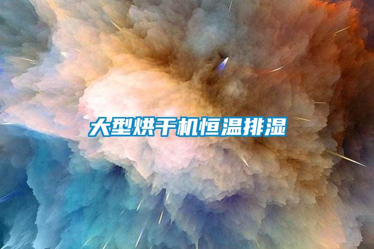 大型烘干機(jī)恒溫排濕
