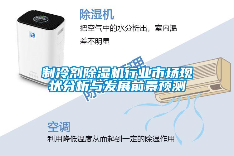 制冷劑除濕機行業市場現狀分析與發展前景預測