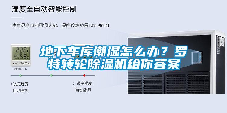 地下車庫(kù)潮濕怎么辦？羅特轉(zhuǎn)輪除濕機(jī)給你答案