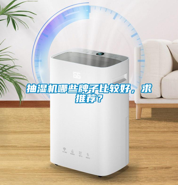 抽濕機哪些牌子比較好，求推薦？