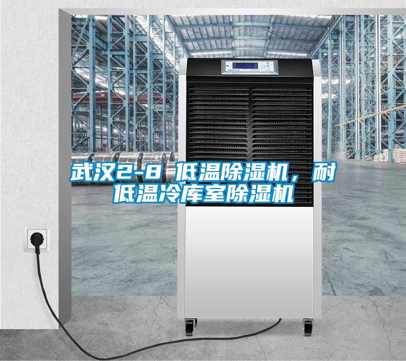 武漢2-8℃低溫除濕機，耐低溫冷庫室除濕機